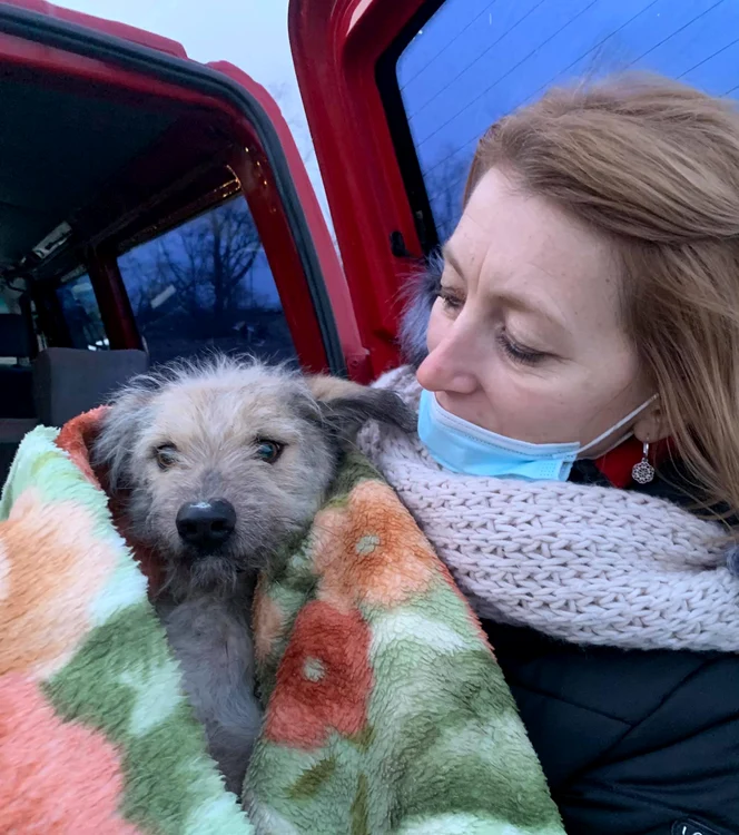 Cățelul a scăpat cu bine și a fost dus la veterinar