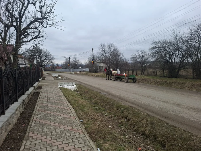 Mulți își petrec vacanța în compania părinților, la muncă FOTO Cosmin Zamfirache