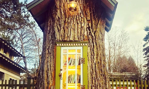 1 84713 original jpg jpeg