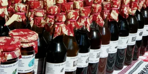 targ bunatati sinaia