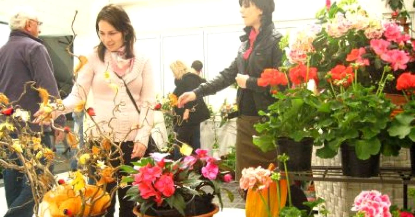 Expoziţia de flori a atras vizitatori dis de dimineaţă