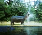 3 berlin zoo 542421967 jpg jpeg