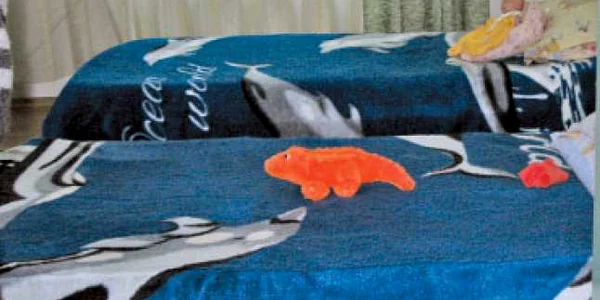 Preot acuzat  de abuz sexual