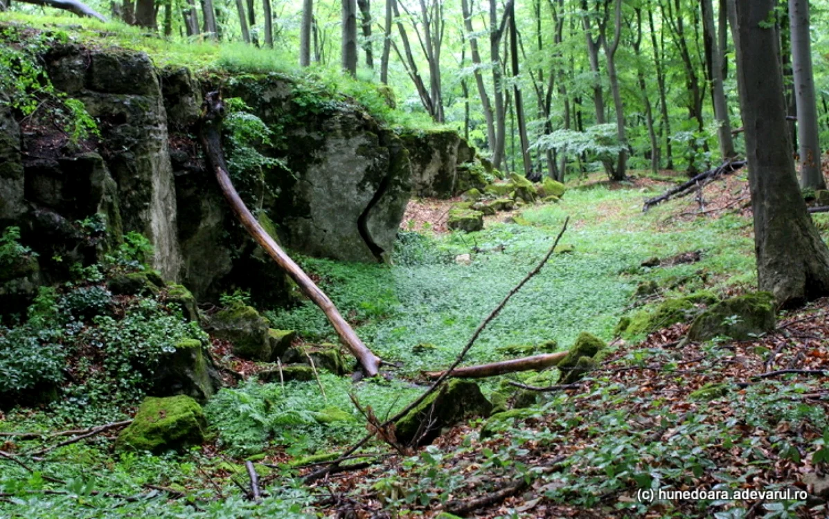 Fronturi de lucru din Cariera de la Măgura Călanului. Foto: Daniel Guță. ADEVĂRUL
