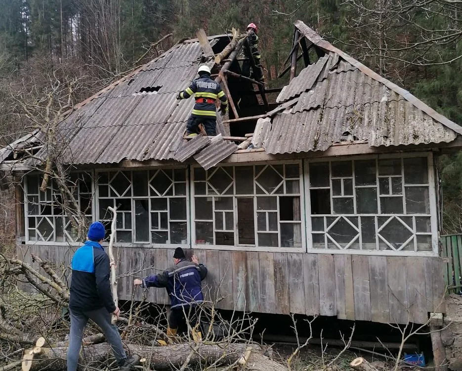 Copacul a distrus parțial acoperișul locuinței FOTO ISU Alba