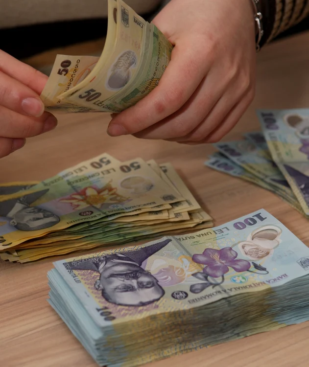 În timpul atacului speculativ, cursul de schimb a urcat în numai o săptămână de la 3,67 lei/euro la 3,98 lei/euro FOTO Adevărul