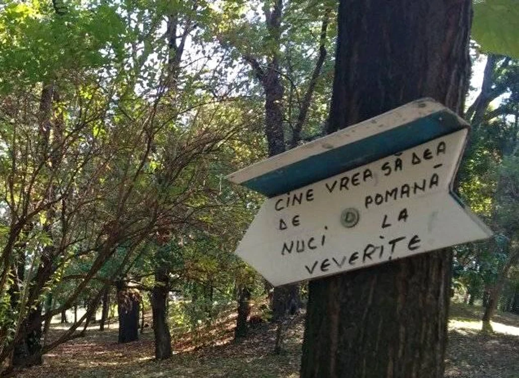Cu ochii n 3,14 jpeg
