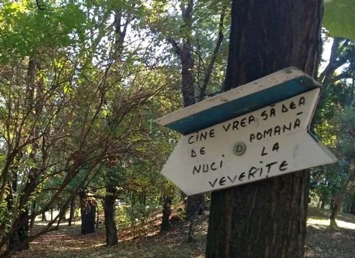 Cu ochii n 3,14 jpeg