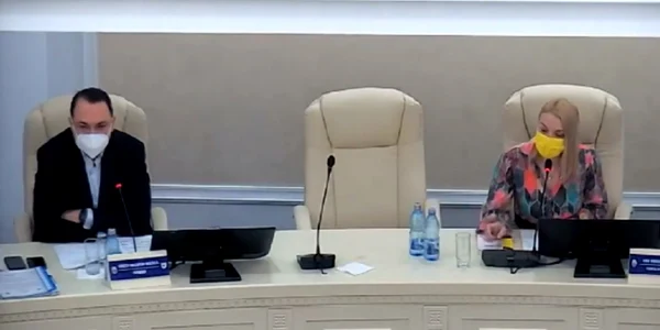 ana maria misaila