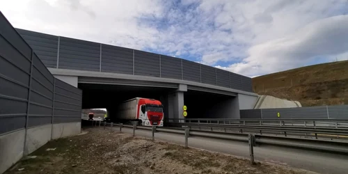 ecoductele de la holdea pe autostrada a1 foto daniel guta adevarul