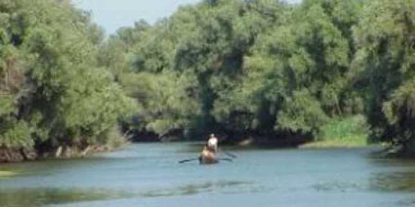 Turişti atacaţi în Delta Dunării