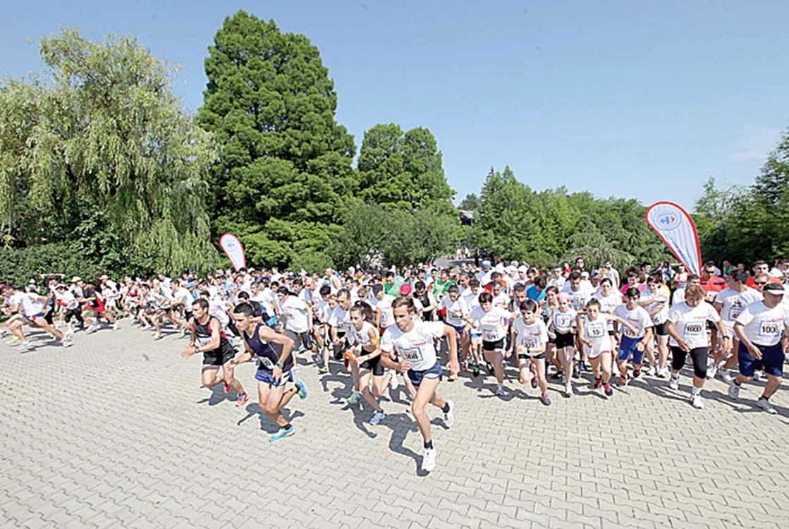 Participanţii au parcurs circa 7 kmFoto: Sever Gheorghe