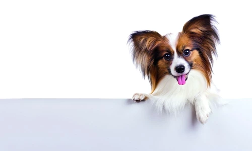 1 68723 original jpg jpeg