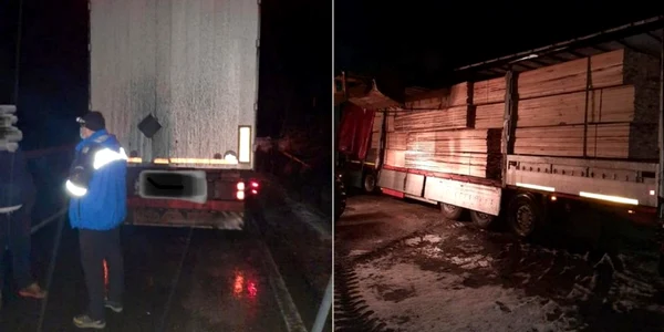 cherestea confiscata foto inspectoratul de jandarmi judeţean hunedoara