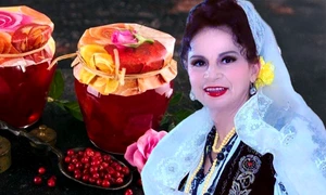 banner gherghina stancu dulceata trandafiri jpg