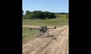 baba yaga gif gif