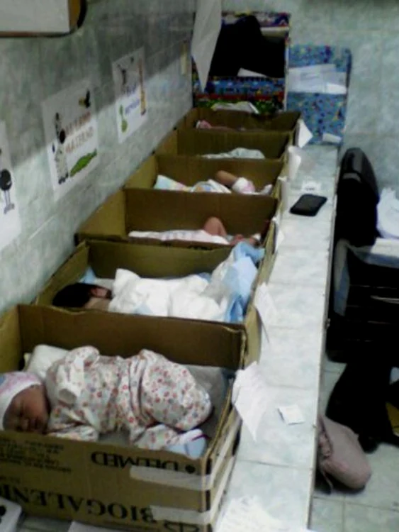 Din lipsa incubatoarelor, cei mici stau în cutii de carton
