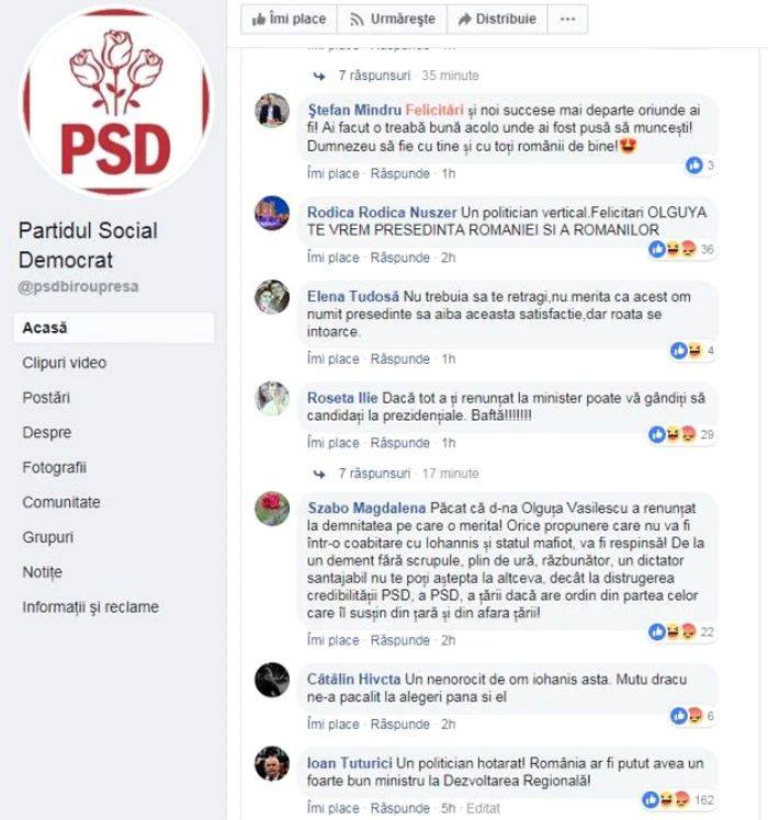 Olguta Vasilescu FOTO Facebook PSD