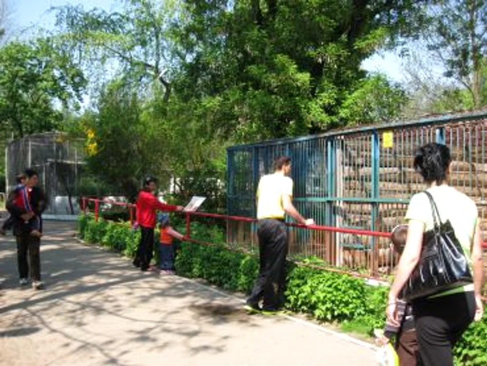 Ploieşti: Grădina zoologică este locul preferat la copiilor
