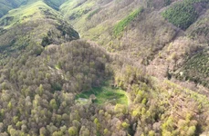 Sarmizegetusa Regia (© Facebook / Administrația Sarmizegetusa Regia)