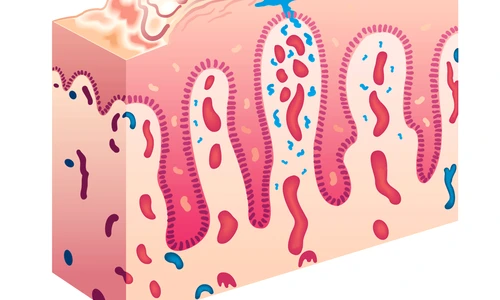 1 66579 original jpg jpeg