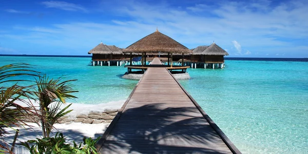 Plajă din Maldive   Pixabay jpg
