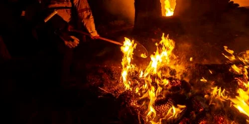 Peste 26000  de acri de pădure distruşi de incendiu în California. FOTO EPA-EFE