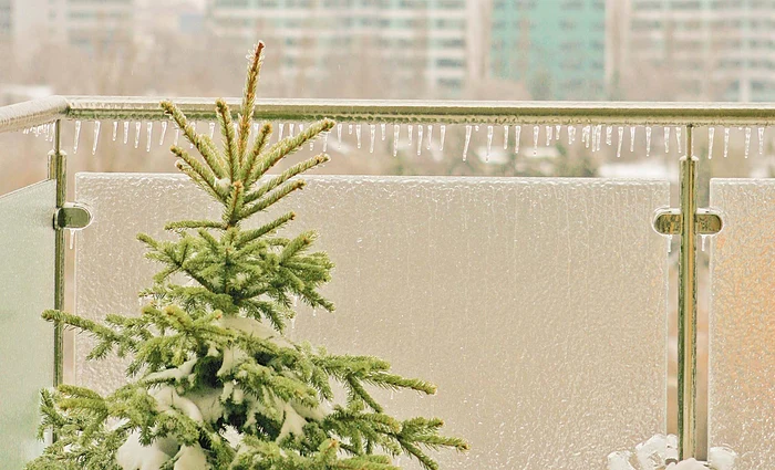 Meteorologii ne dau veşti triste pentru perioada Sărbătorilor