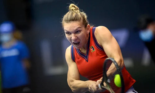 halep w 57283756 jpg