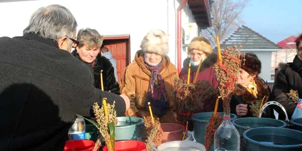 Bobotează