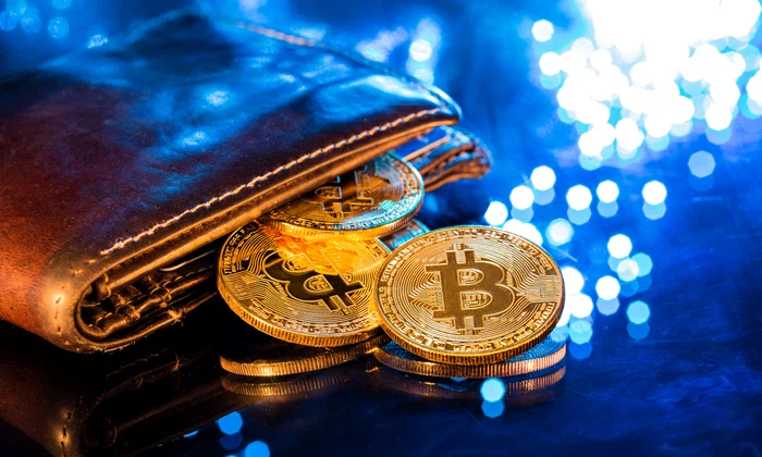 Bitcoin, criptomonede, portofel virtual FOTO Shutterstock 