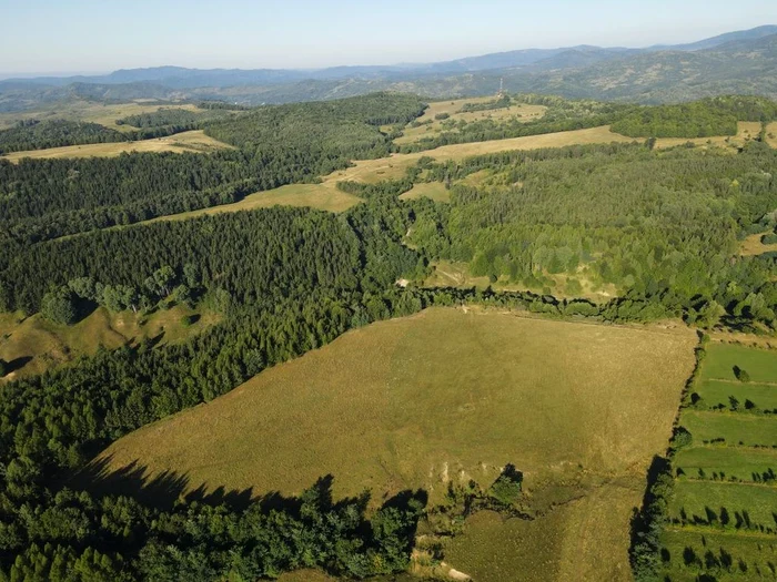 Aici ar fi existat Târgul Teleajenului / foto: valeateleajenului.ro