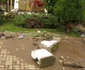 Viitură Lugoj