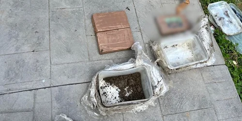 droguri diicot jpeg