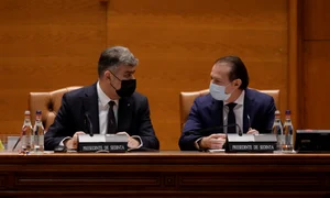 marcel ciolacu florin citu jpg