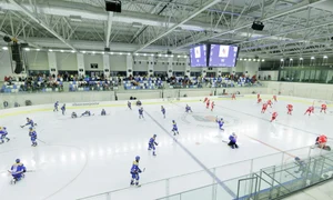Berceni Arena (Inquamphotos) jpg
