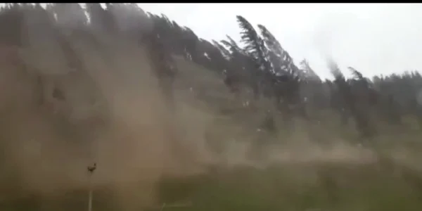 tornada de la Iacobeni 