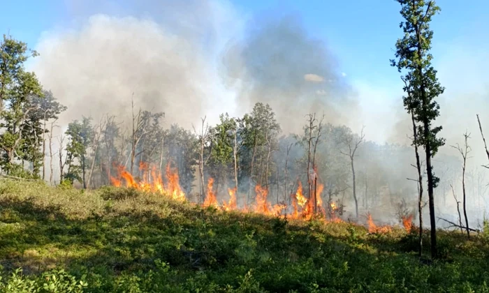 Incendii forestiere în Mehedinți și Vâlcea FOTO: ISU