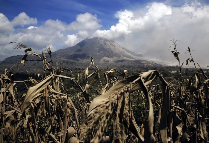 Erupţia vulcanului Sinabung continuă de două săptămâni (Foto: Reuters)