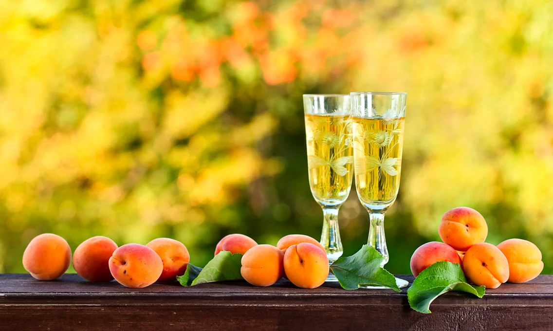 caisata shutterstock 223736818 jpg