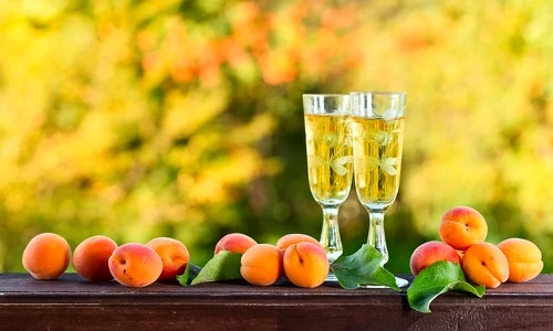 caisata shutterstock 223736818 jpg