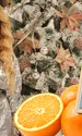 Banner Daniela Gyorfi