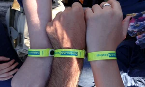Un festival de o viaţă jpeg