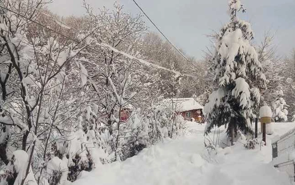 Casă izolată din Cavnic    Foto: Facebook