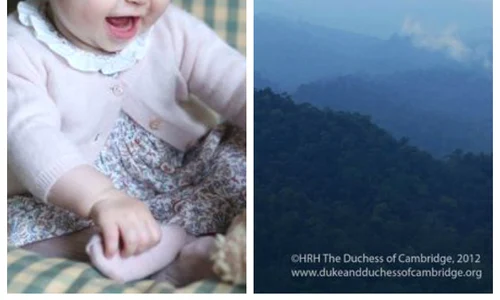 kate middleton fotografii jpeg