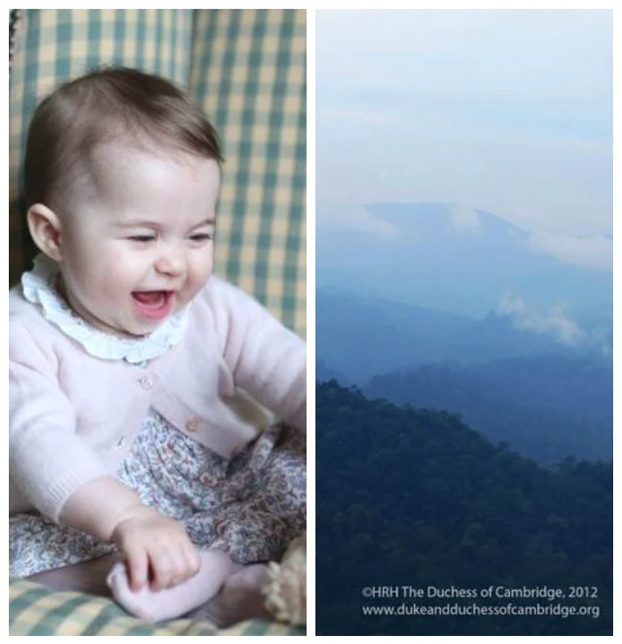 kate middleton fotografii jpeg