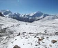 DSC 0722 JPG