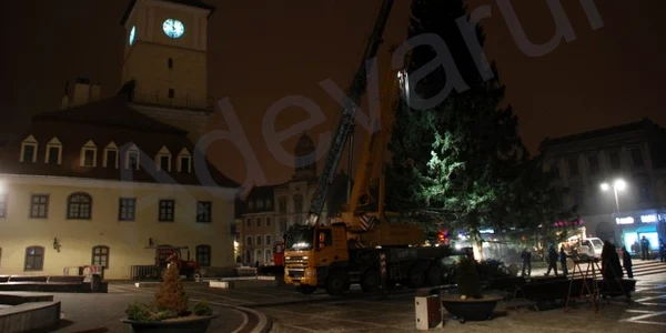 Bradul a fost montat luni seara Foto. Stelian Grăjdan