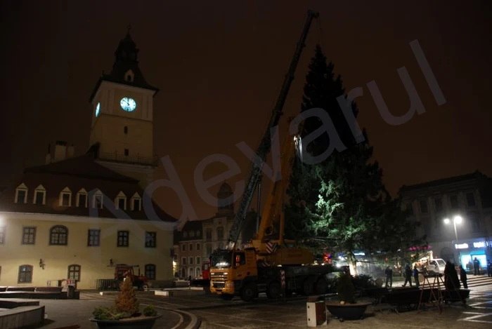 Bradul a fost montat luni seara Foto. Stelian Grăjdan