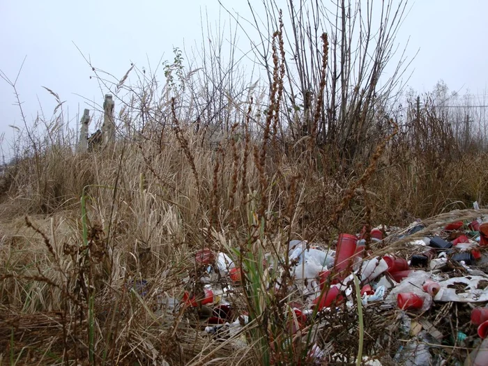 Curăţenie în cimitirul central, cu gunoiul sub preş